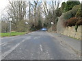 Bradley Road - viewed from Bradley Avenue