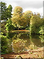 Golden Brook, Tatton Park Gardens, Knutsford, Cheshire