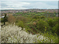 Cooper?s Bank Farm seen from Barrow Hill, Pensnett