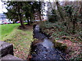 Stream flows past the western edge of the Coleg Sir G?r campus, Ammanford