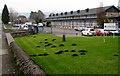 Molehills on a college campus, Ammanford