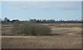 Rough grassland by the River Penk