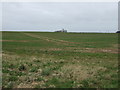 Farmland off Brackenborough Road