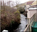 Llynfi flows past the back of Wendell