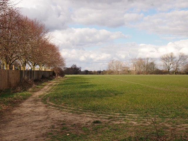 Field ,Ipswich Northern Fringe north of Valley Road