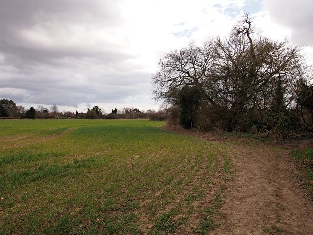 Field, Ipswich Northern Fringe, looking back to Valley Road