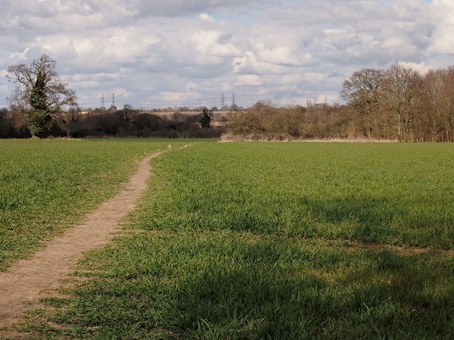 Path across Field, Ipswich Northern Fringe