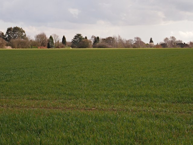 Field and back of houses on Westerfield Road, Ipswich Northern fringe