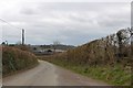 Road passing Cudmore Farm