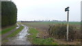 Floodplain footpath