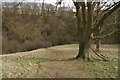 Dropping down into Woodale on the Yorkshire Wolds Way