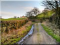 Footpath at the end of Waterfold Lane