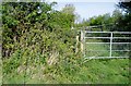 Stile obstructed by vegetation