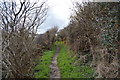 SH5283 : Anglesey Coast Path by N Chadwick