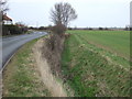 Drain beside Louth Road