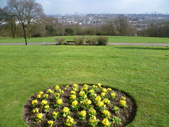View from Alexandra Park