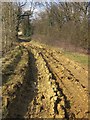 Rutted bridleway near Upper Coberley