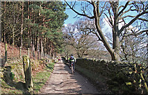 SE1468 : Cycling in Nidderdale by michael ely