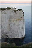 SZ0582 : Chalk cliff south of Old Harry by N Chadwick