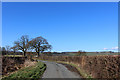 SD6281 : Lane leading towards the A683 by Chris Heaton