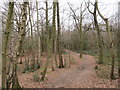 Path in Sevenoaks Common