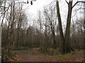 Permissive bridleway in Sevenoaks Common