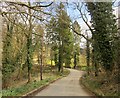 Entrance drive to Marsden Manor