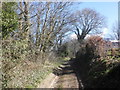 South West Coast Path, above Broad Strand