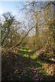 Bridleway Near Great Myles