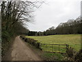 Track to Sevenoaks Common