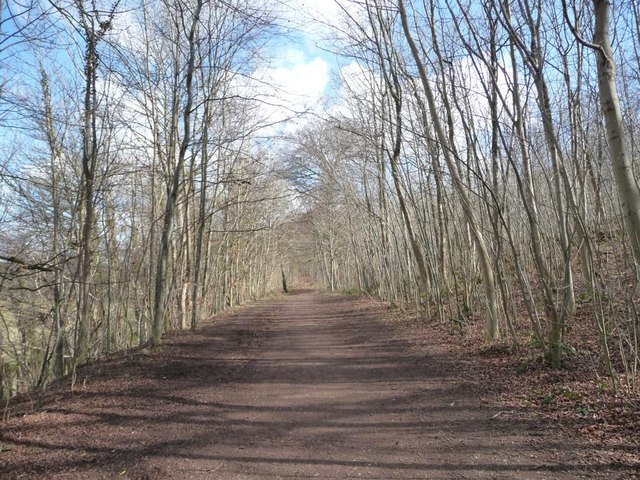 Parlington Lane heading north-east to... © Christine Johnstone cc-by-sa ...