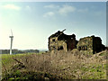 Derelict building near Promised Land Farm, Billinge