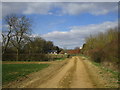 Farm track to Hill Farm