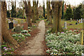 Churchyard path