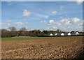 The edge of Whittlesford in early spring