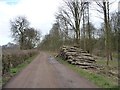 SE4135 : Log pile alongside Parlington Lane by Christine Johnstone