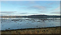 NH5946 : By The Beauly Firth by Mary and Angus Hogg