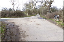 SU6856 : Bridleway meets Wildmoor Lane by Shazz