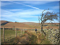 The bridleway on Broom Bank