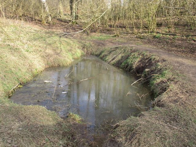 Small pond, Skippingdale Plantation