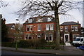 Houses on Newland Park, Hull