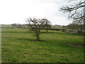 Fields by Greystoke Gill