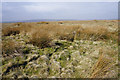 The first bit of access land on Broad Head Lane