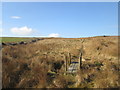 Rochdale Way near Reddyshore Farm