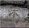 J3775 : Bench Mark, Belfast by Rossographer