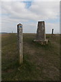 ST8412 : Iwerne Courtney: trig point and signpost on Hambledon Hill by Chris Downer