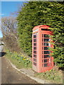 ST3800 : Marshwood: red telephone box by Chris Downer