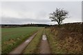 Farm track, Rosemount