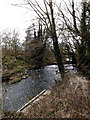 River Waveney