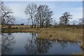 Pond, Newton of Glamis